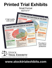 Printed Small Format Brain Anatomy and Functions Trial Exhibit Stock Medical Illustrations